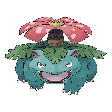 이상해꽃